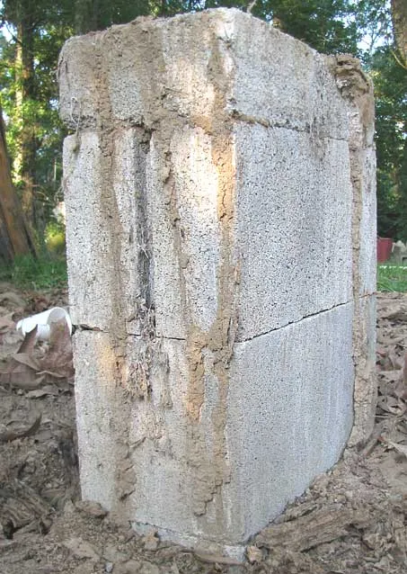 Mud tubes built by subterranean termites on a concrete foundation